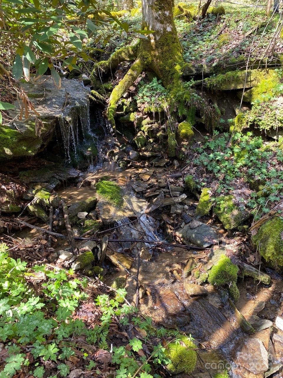 0 Byrd Cr Road Green Mountain, NC 28740 - Photo 6 of 18 a backyard of a house with a yard with outdoor seating