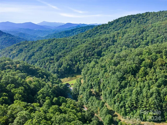a view of a top with a forest