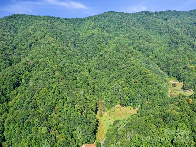 a view of a green field with lots of bushes