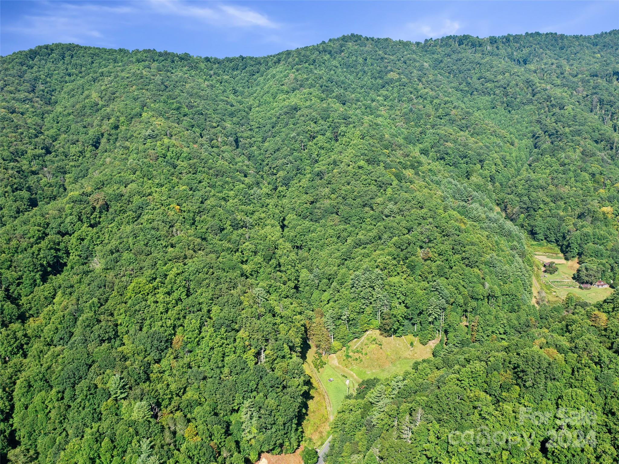 0 Byrd Cr Road Green Mountain, NC 28740 - Photo 10 of 18 a view of a lush green field