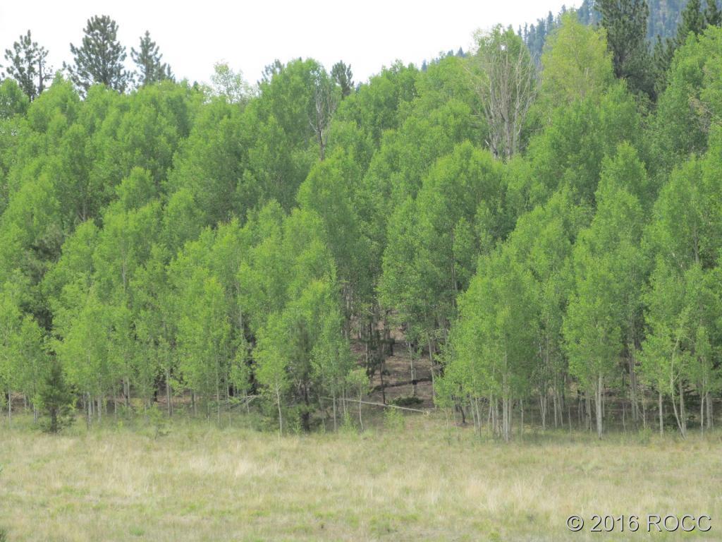 379 Jefferson Road Hartsel, CO 80449 - Photo 2 of 7