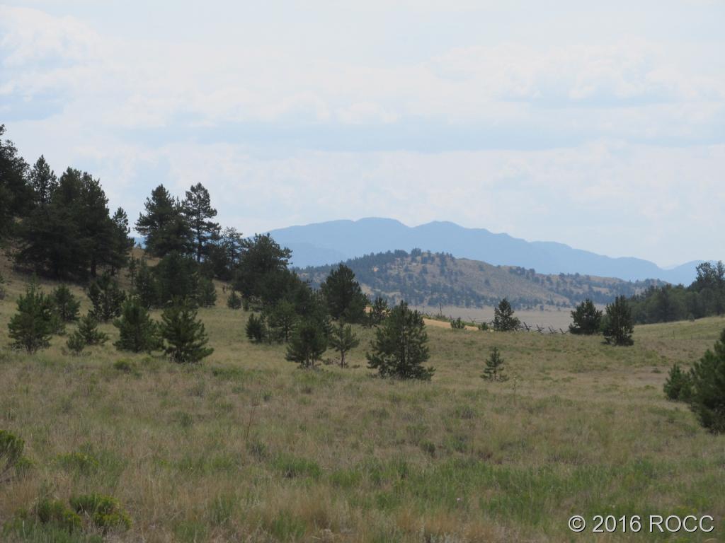 379 Jefferson Road Hartsel, CO 80449 - Photo 4 of 7