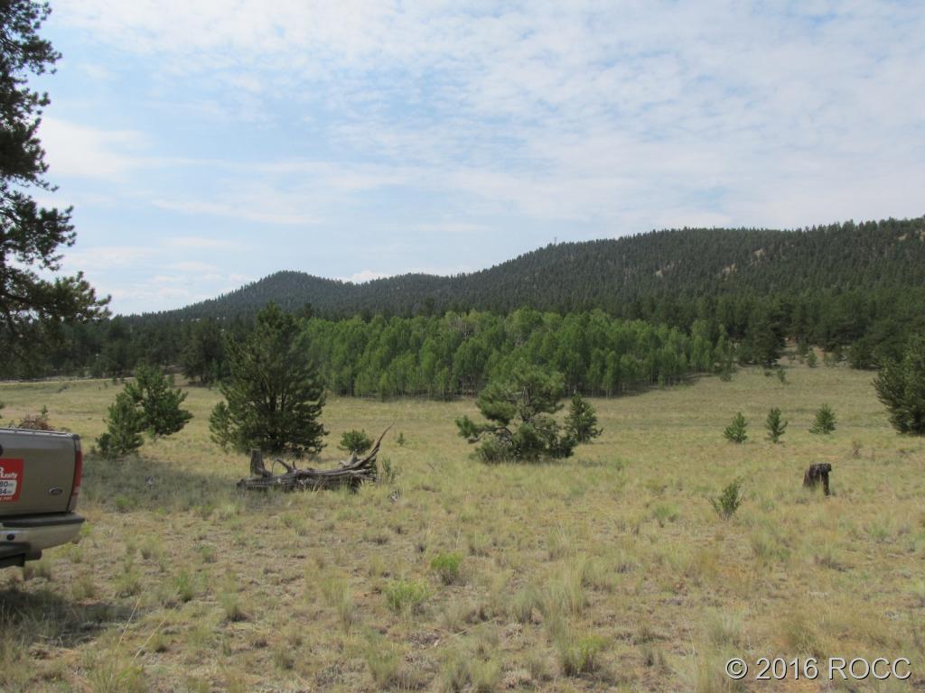 379 Jefferson Road Hartsel, CO 80449 - Photo 5 of 7