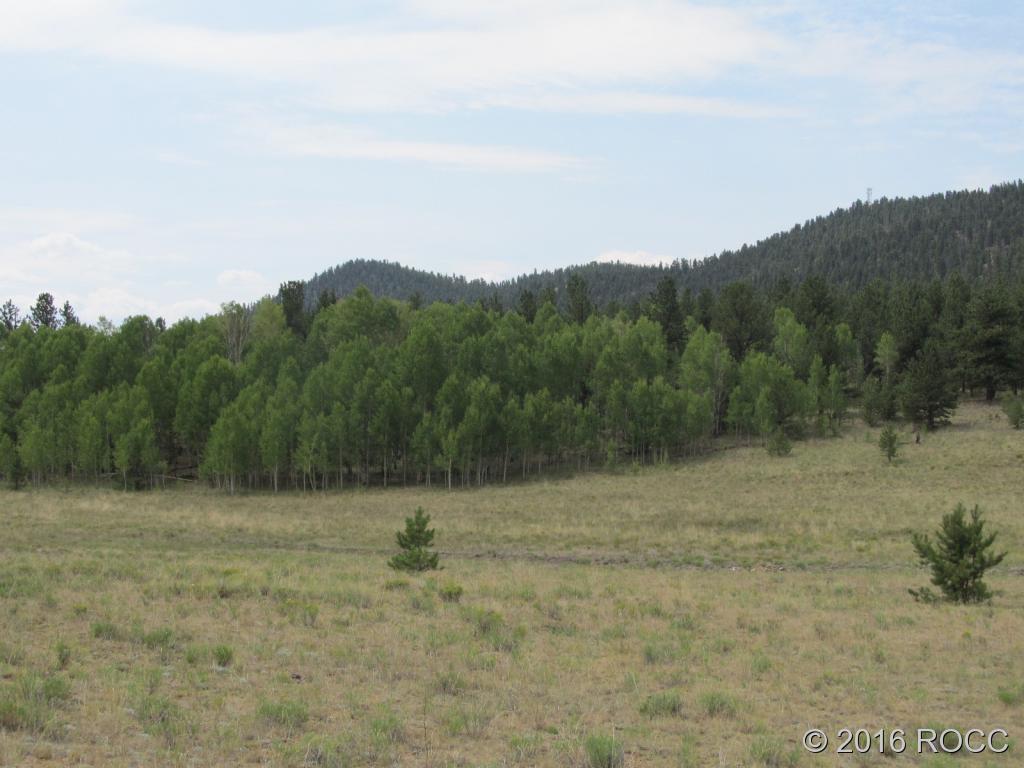 379 Jefferson Road Hartsel, CO 80449 - Photo 6 of 7