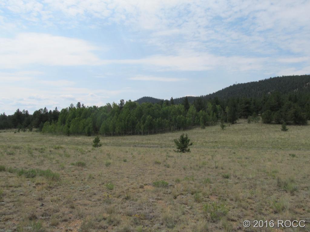 379 Jefferson Road Hartsel, CO 80449 - Photo 7 of 7