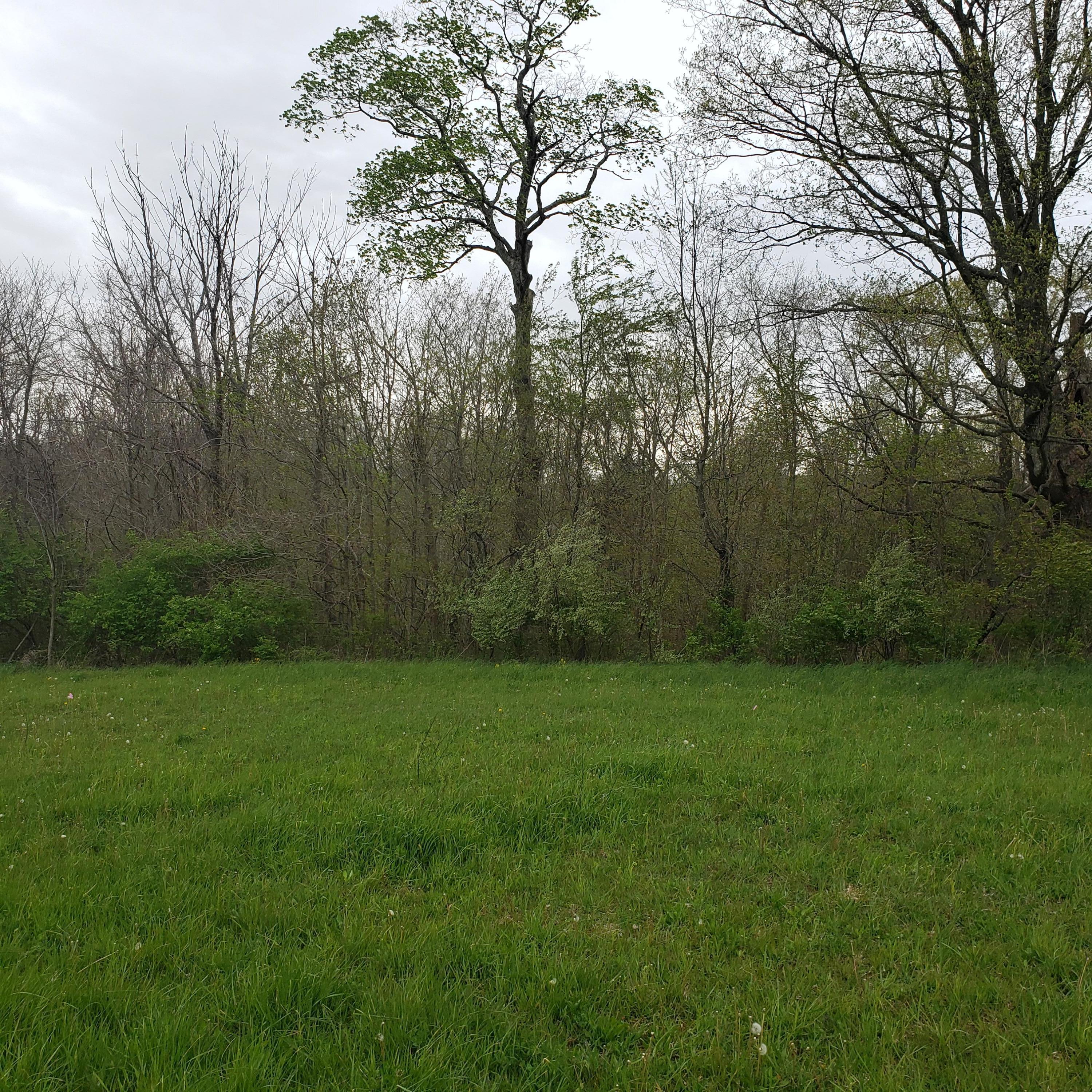 0 Winchester Southern Road Southwest, Unit LOT #2 Stoutsville, OH 43154 - Photo 2 of 3