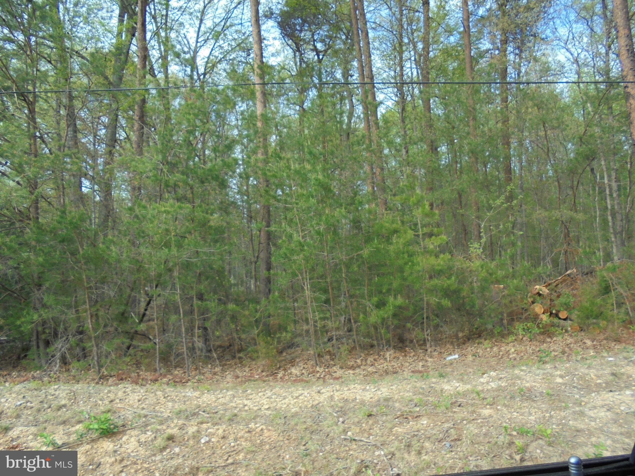 Village Road Unionville, VA 22567 - Photo 3 of 7 Gallery Image 3