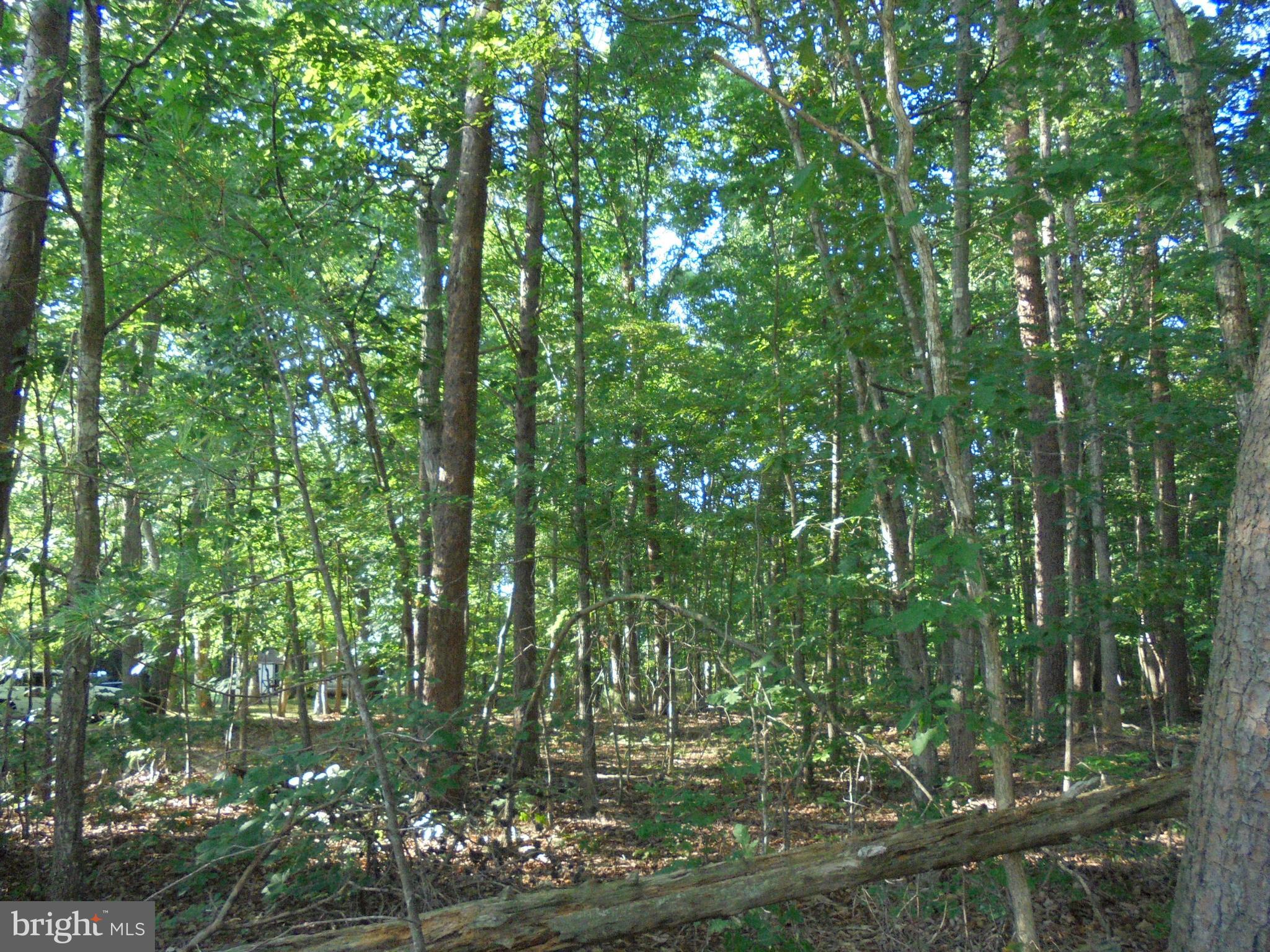 Village Road Unionville, VA 22567 - Photo 4 of 7 Wooded Lot
