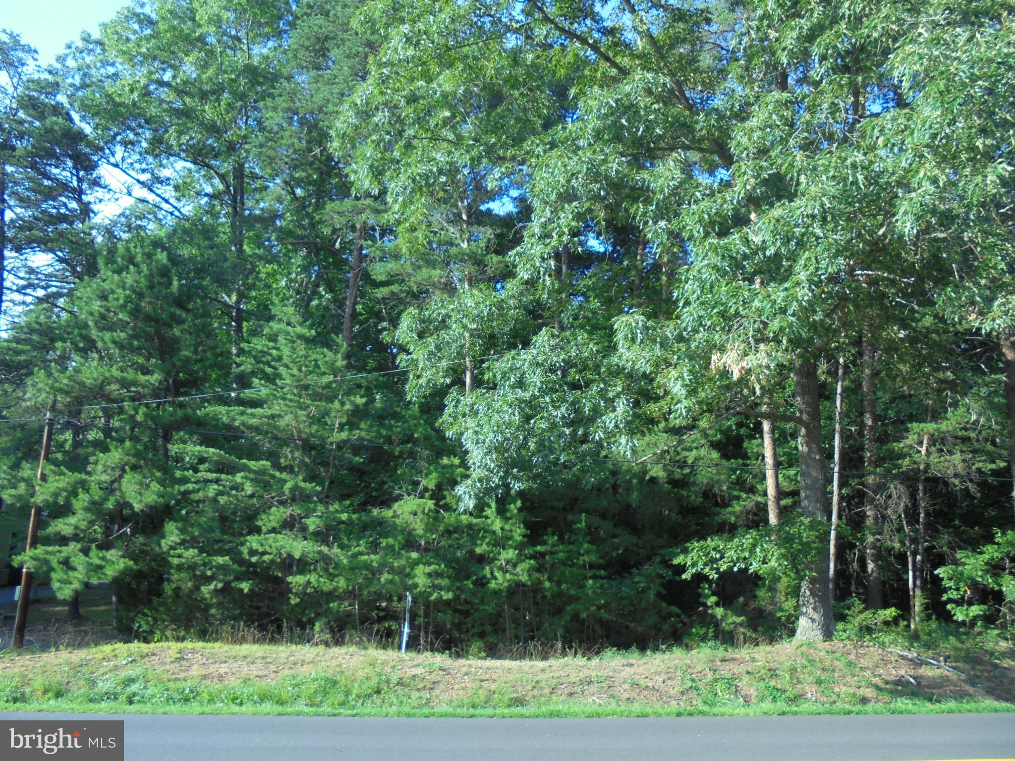 Village Road Unionville, VA 22567 - Photo 5 of 7 Summer time photo