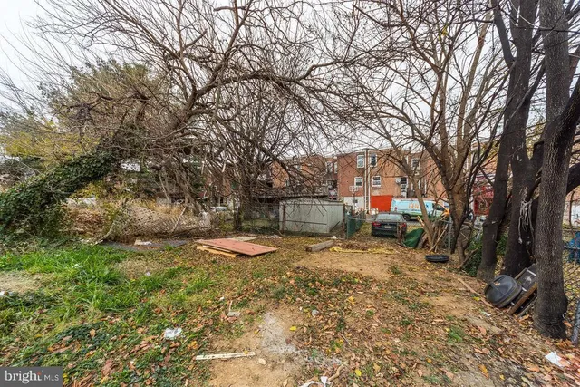 a view of backyard with wooden fence and large trees