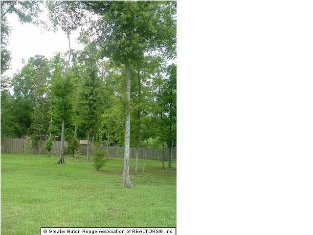24155 Canyon Road Denham Springs, LA 70726 - Photo 5 of 7 Gallery Image 5