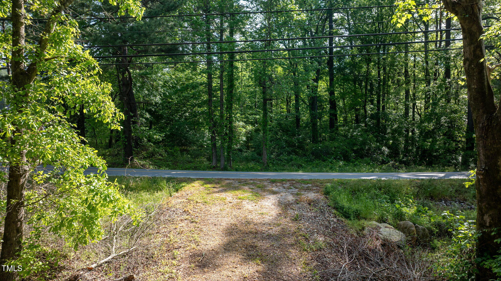 7-web-or-mls-DJI_0673