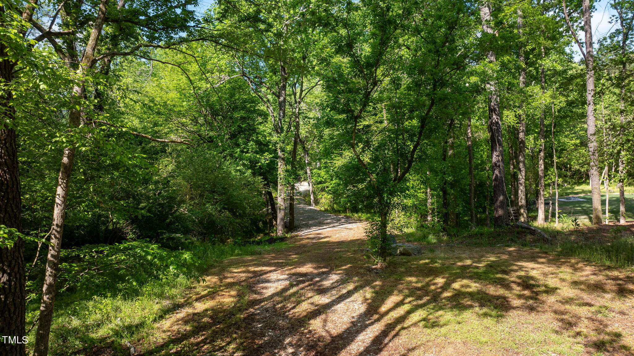 2841 Watkins Town Road Raleigh, NC 27616 - Photo 8 of 18 5-web-or-mls-DJI_0671