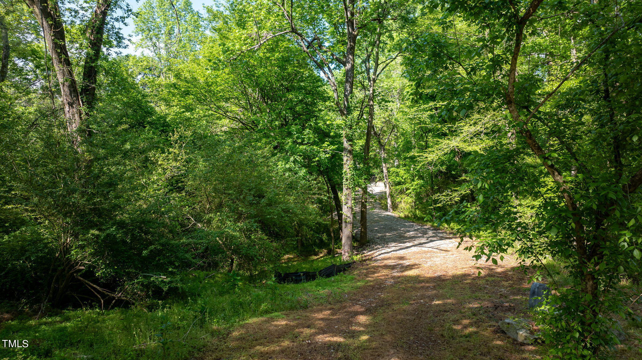 2841 Watkins Town Road Raleigh, NC 27616 - Photo 10 of 18 6-web-or-mls-DJI_0672
