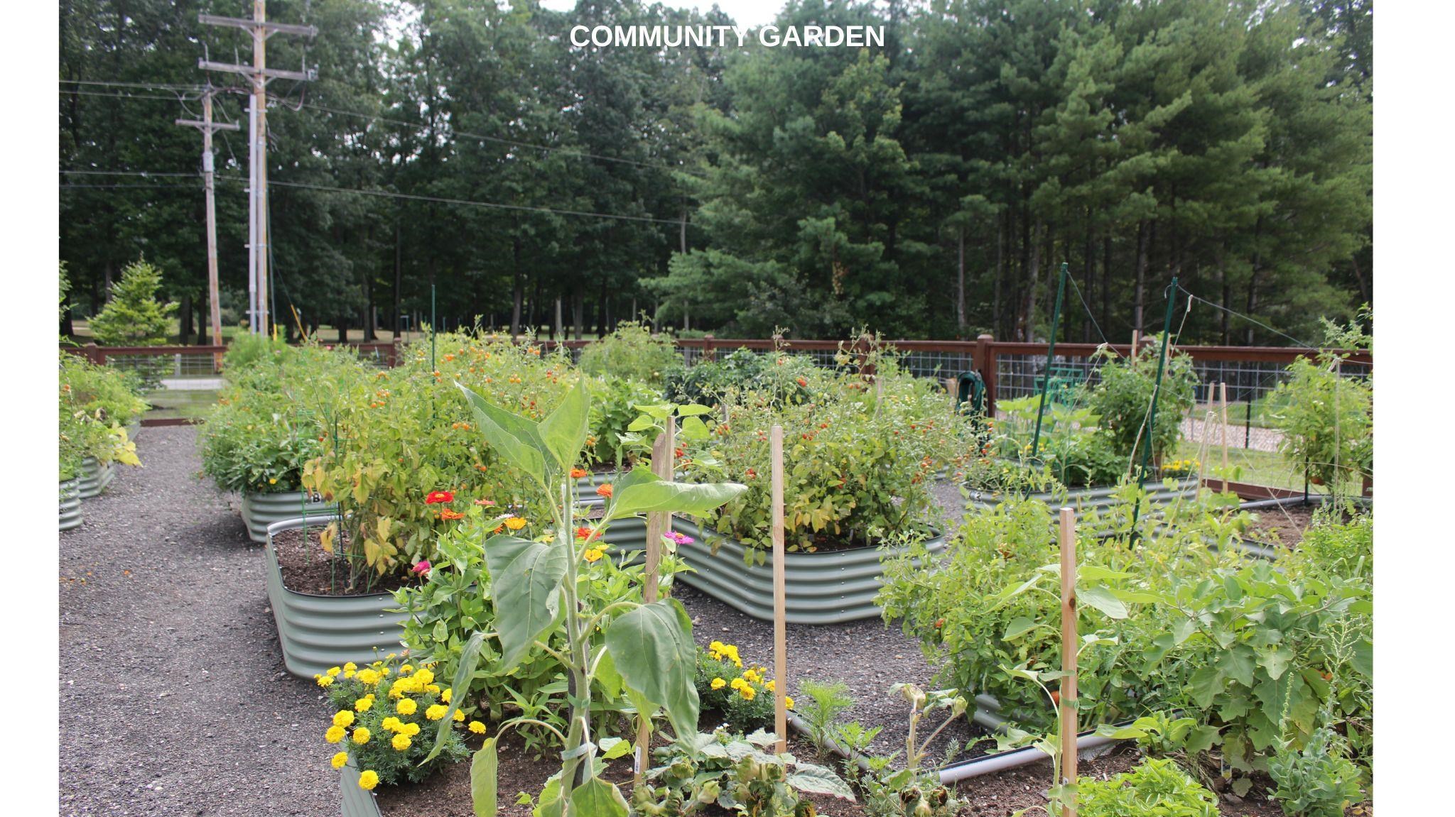 1 Longview Drive, Unit 203 Atkinson, NH 03811 - Photo 28 of 30