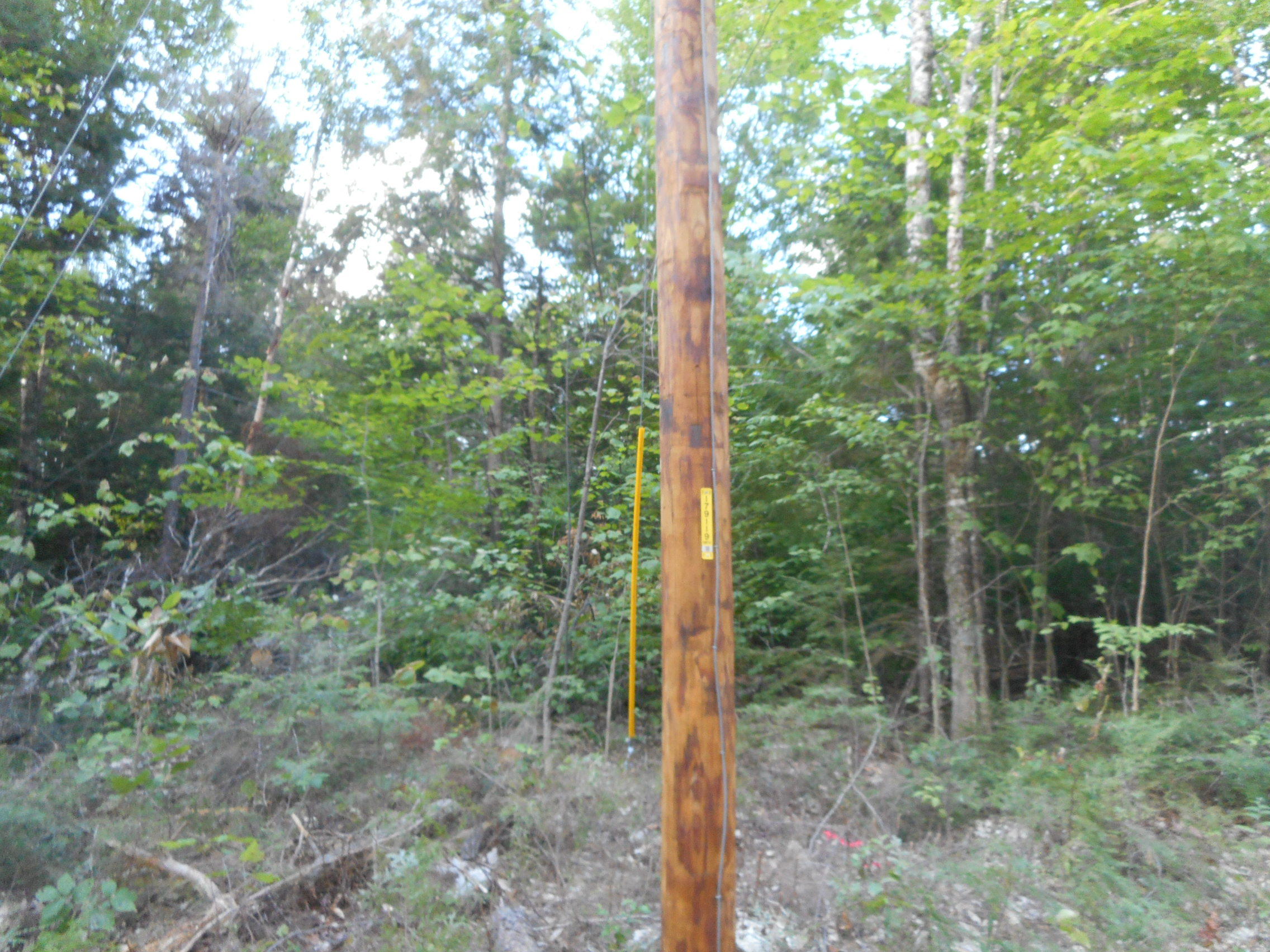 Tbd Trail End Road Lincoln, ME 04457 - Photo 10 of 13 DSCN2602