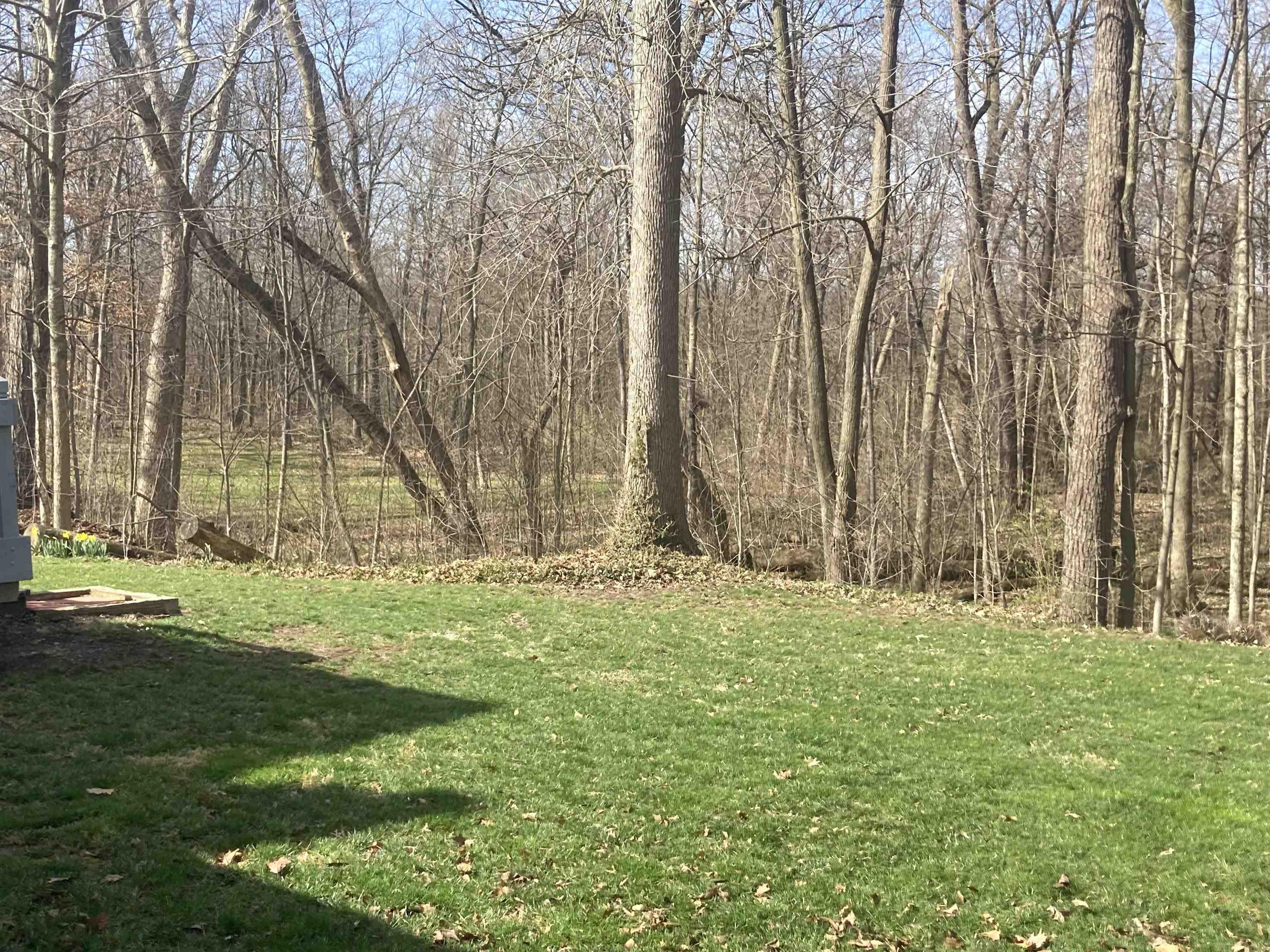 3710 North Hickory Road Decatur, IN 46733 - Photo 28 of 29