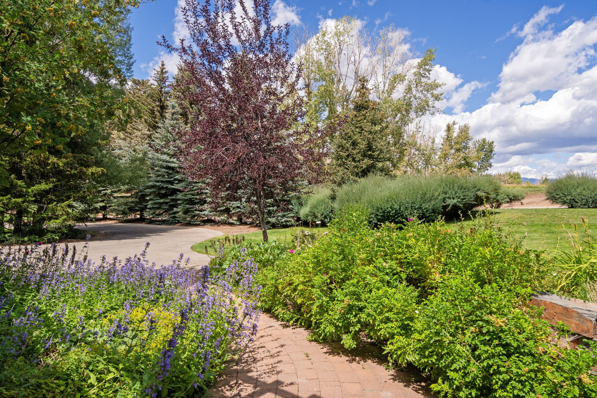 7 Rose Court Sun Valley, ID 83353 - Photo 9 of 48 Front Yard and View