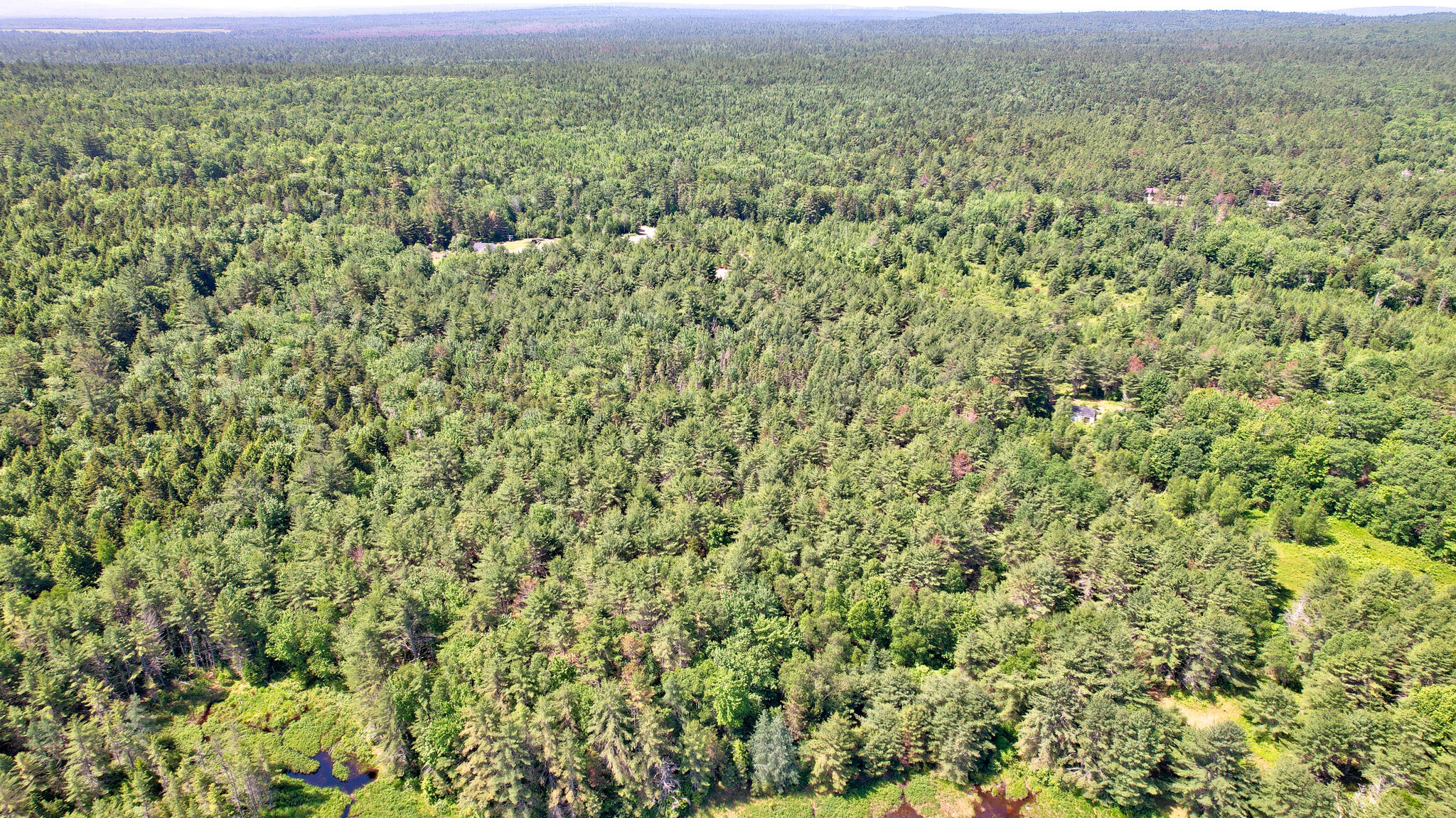 M19-l8 Church Farm Road Beddington, ME 04622 - Photo 16 of 22 dji_fly_20250624_104246_569_175077744469