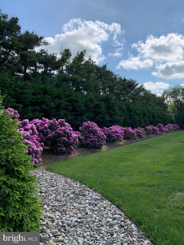 628 Pestletown Road Waterford Works, NJ 08089 - Photo 38 of 38 Landscape in Bloom