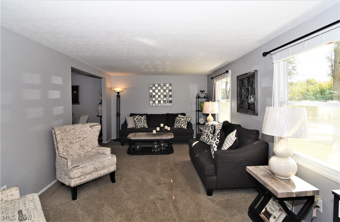 587 Schocalog Road Akron, OH 44320 - Photo 4 of 30