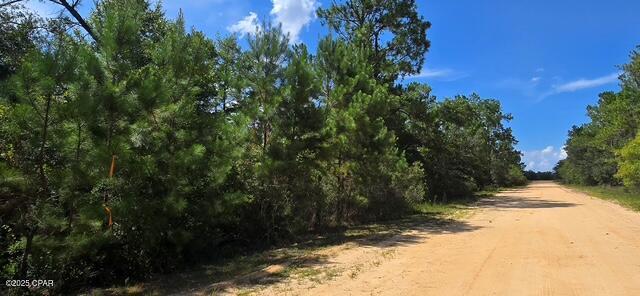 Lot 2 Jackson Road Marianna, FL 32448 - Photo 7 of 13 Gallery Image 7