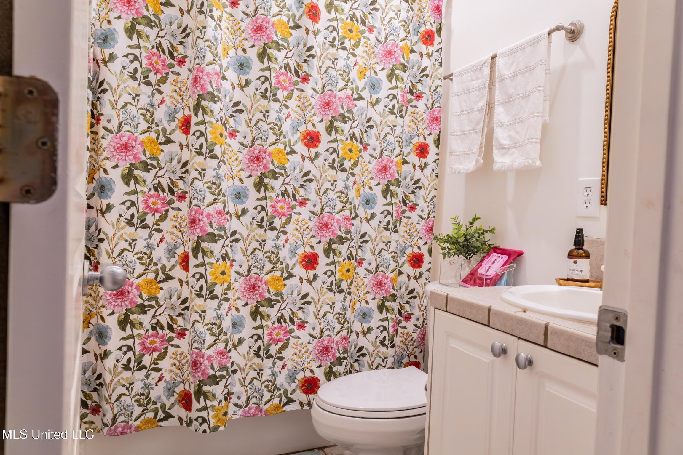 2050 Paradise Ridge Brandon, MS 39042 - Photo 48 of 61 IMG_9832-HDR