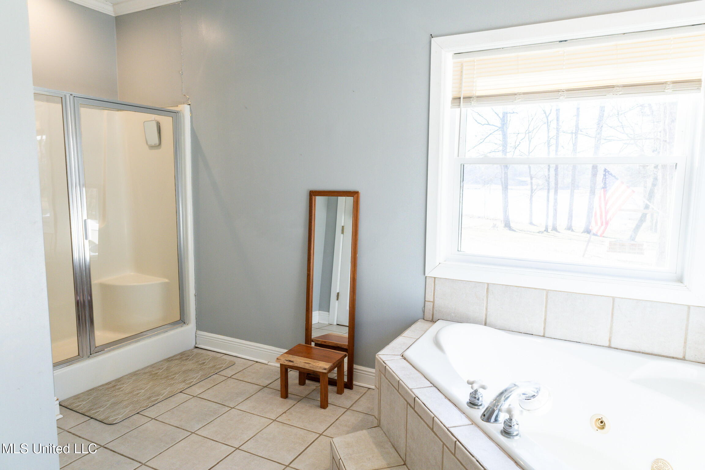 2050 Paradise Ridge Brandon, MS 39042 - Photo 57 of 61 IMG_9901-HDR