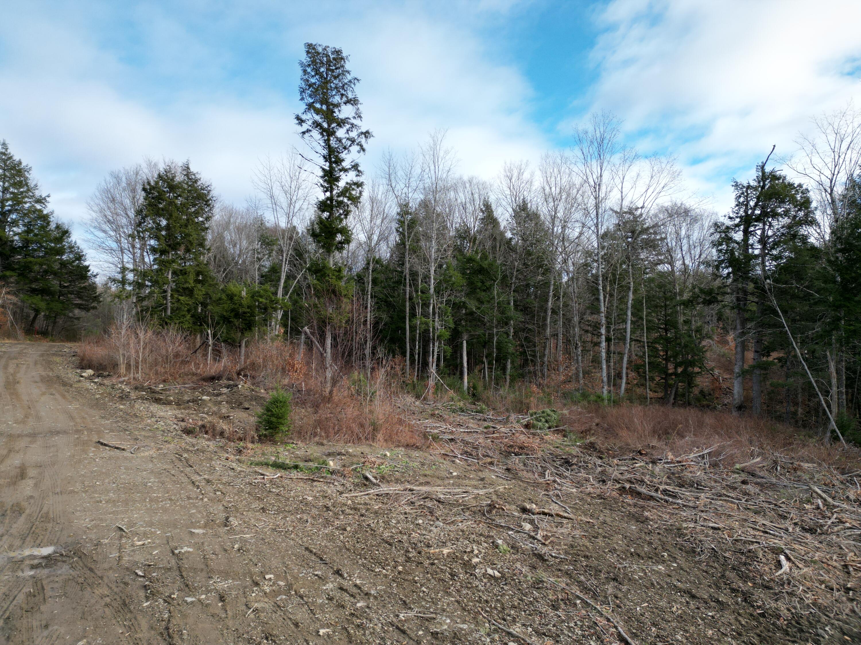 Lot 14 Ghost Road Springfield, ME 04487 - Photo 11 of 17 DJI_0965