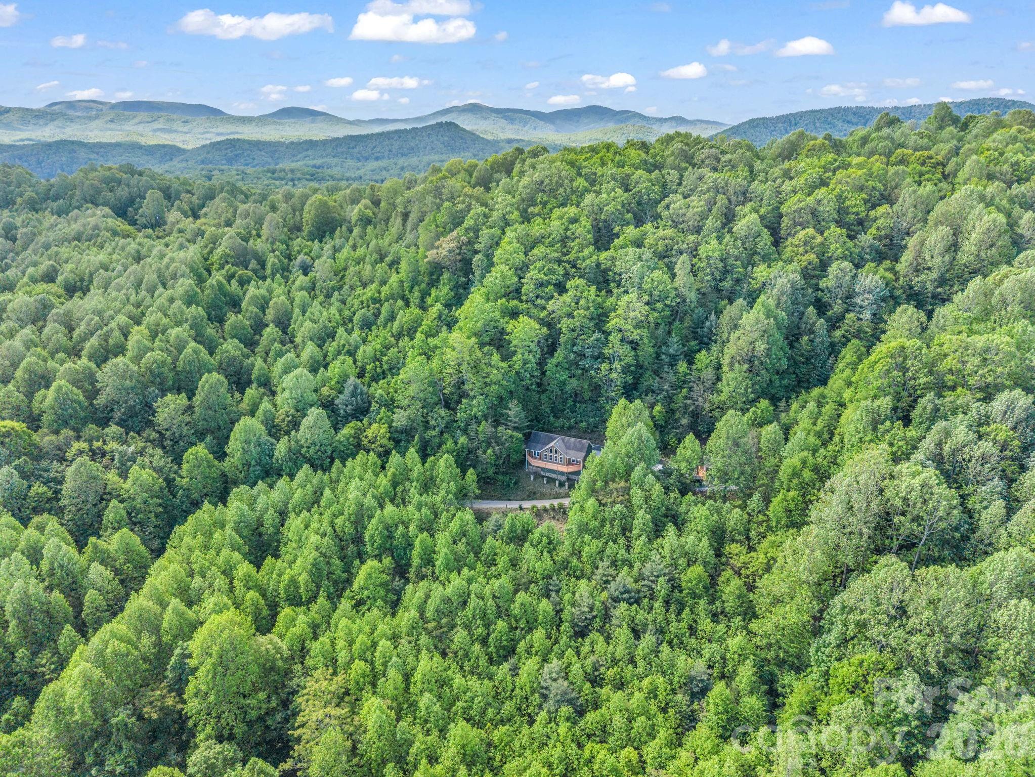 603 Pace Mountain Road Saluda, NC 28773 - Photo 42 of 44 Gallery Image 42