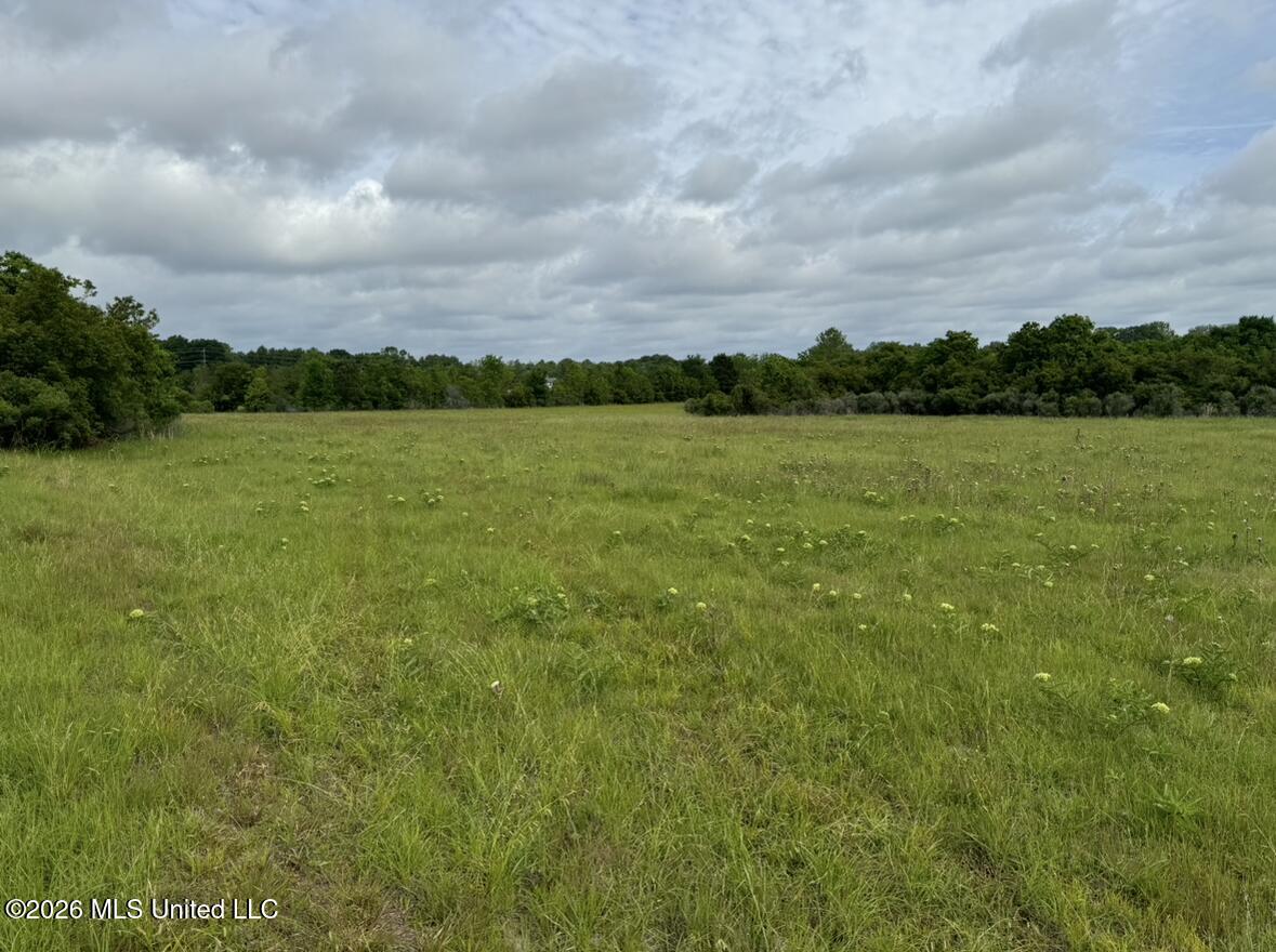 Bozeman Road Madison, MS 39110 - Photo 11 of 18 IMG_2187