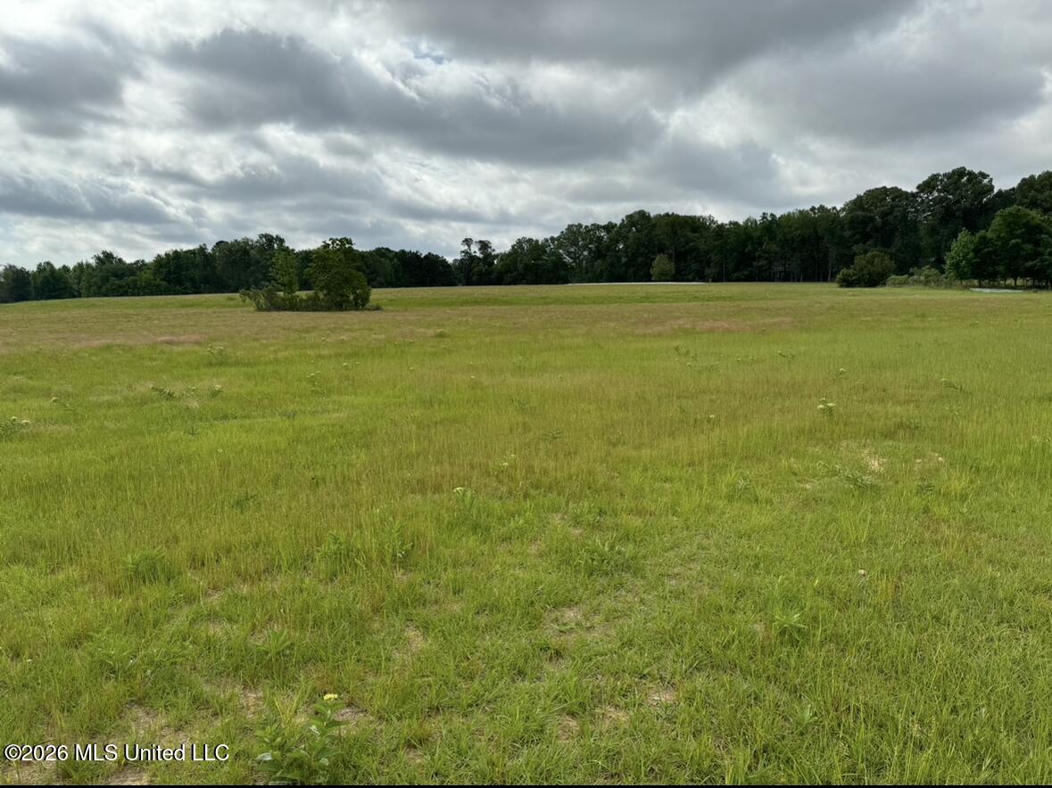 Bozeman Road Madison, MS 39110 - Photo 13 of 18 IMG_2189