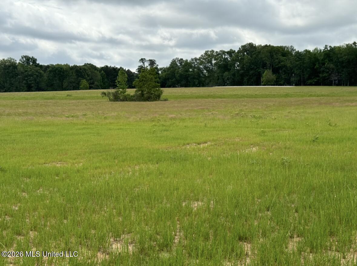 Bozeman Road Madison, MS 39110 - Photo 14 of 18 IMG_2190