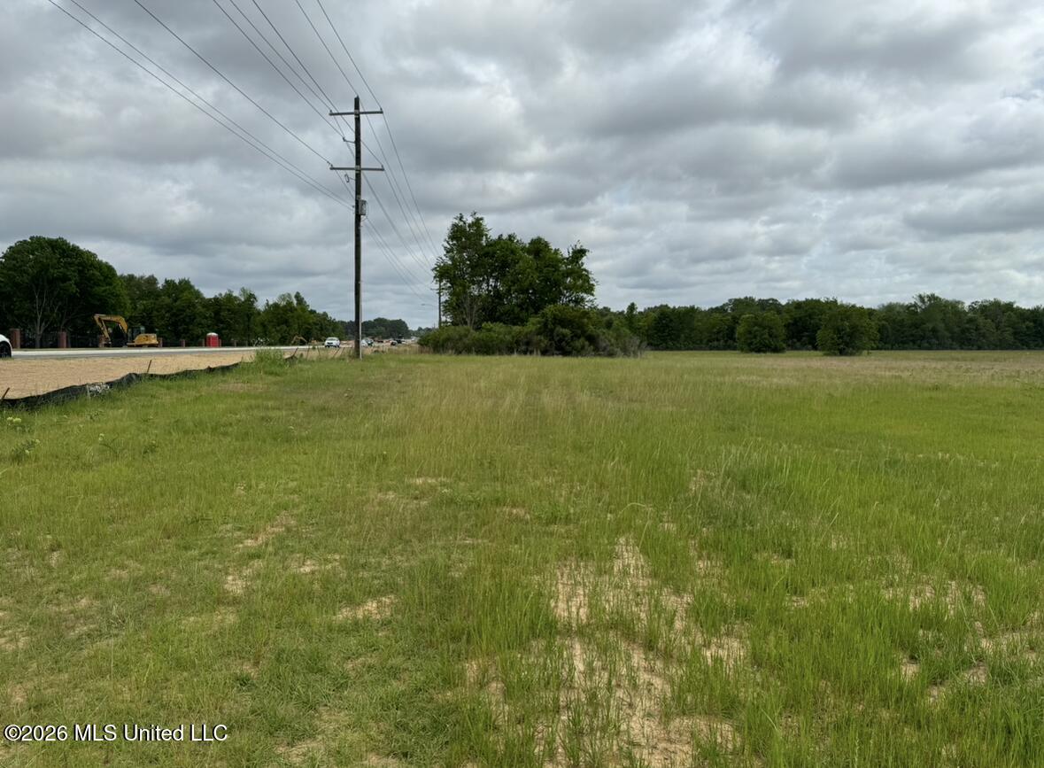 Bozeman Road Madison, MS 39110 - Photo 15 of 18 IMG_2191