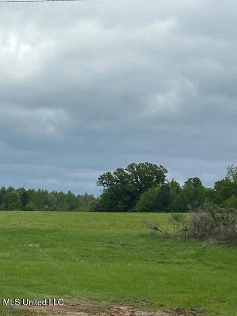 Bozeman Road Madison, MS 39110 - Photo 3 of 3 IMG_2679