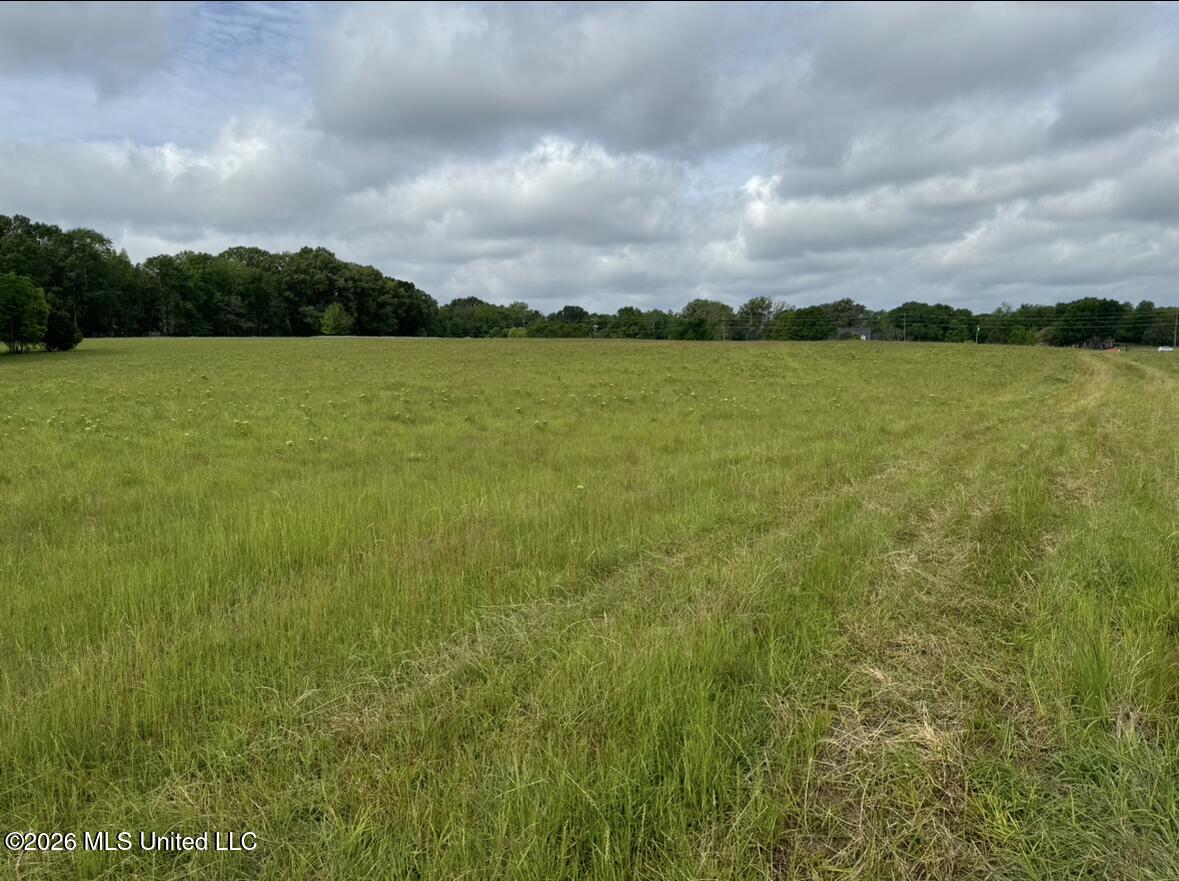 Bozeman Road Madison, MS 39110 - Photo 10 of 18 IMG_2185