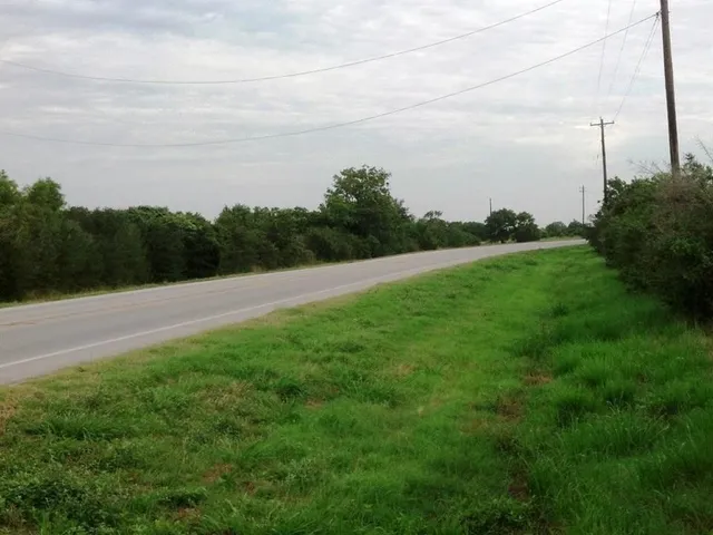 a view of a field of grass and trees