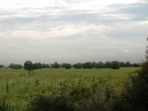 a view of a big yard with lots of green space