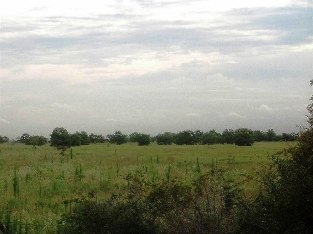 3466 Farm To Market 362 Pattison, TX 77423 - Photo 6 of 8