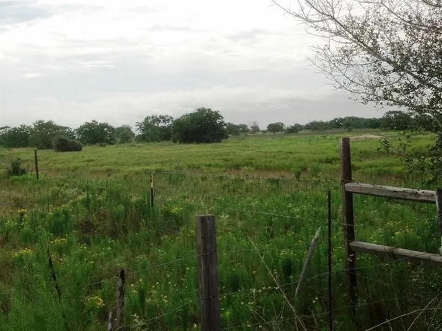 a view of a lush green outdoor space with a lake view