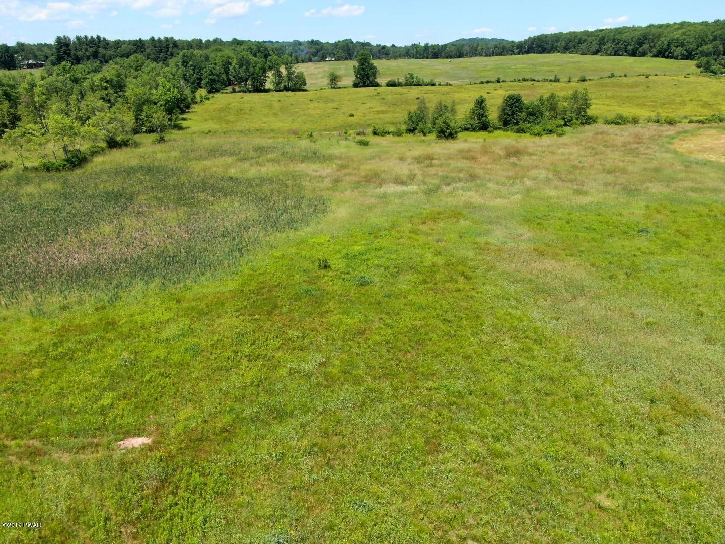 Lot 1 Slater Rd Beach Lake Beach Lake, PA 18405 - Photo 5 of 5