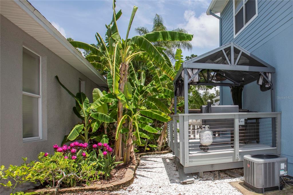 3746 Dogtrot Street New Port Richey, FL 34655 - Photo 41 of 50