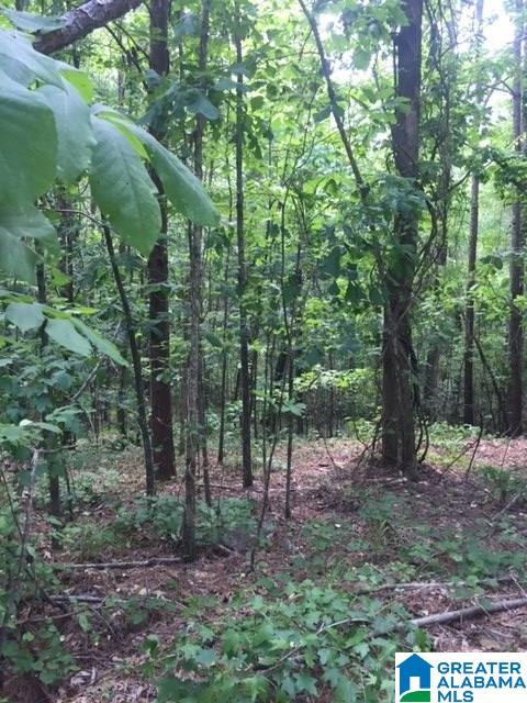 0 Gould Road Columbiana, AL 35051 - Photo 3 of 7