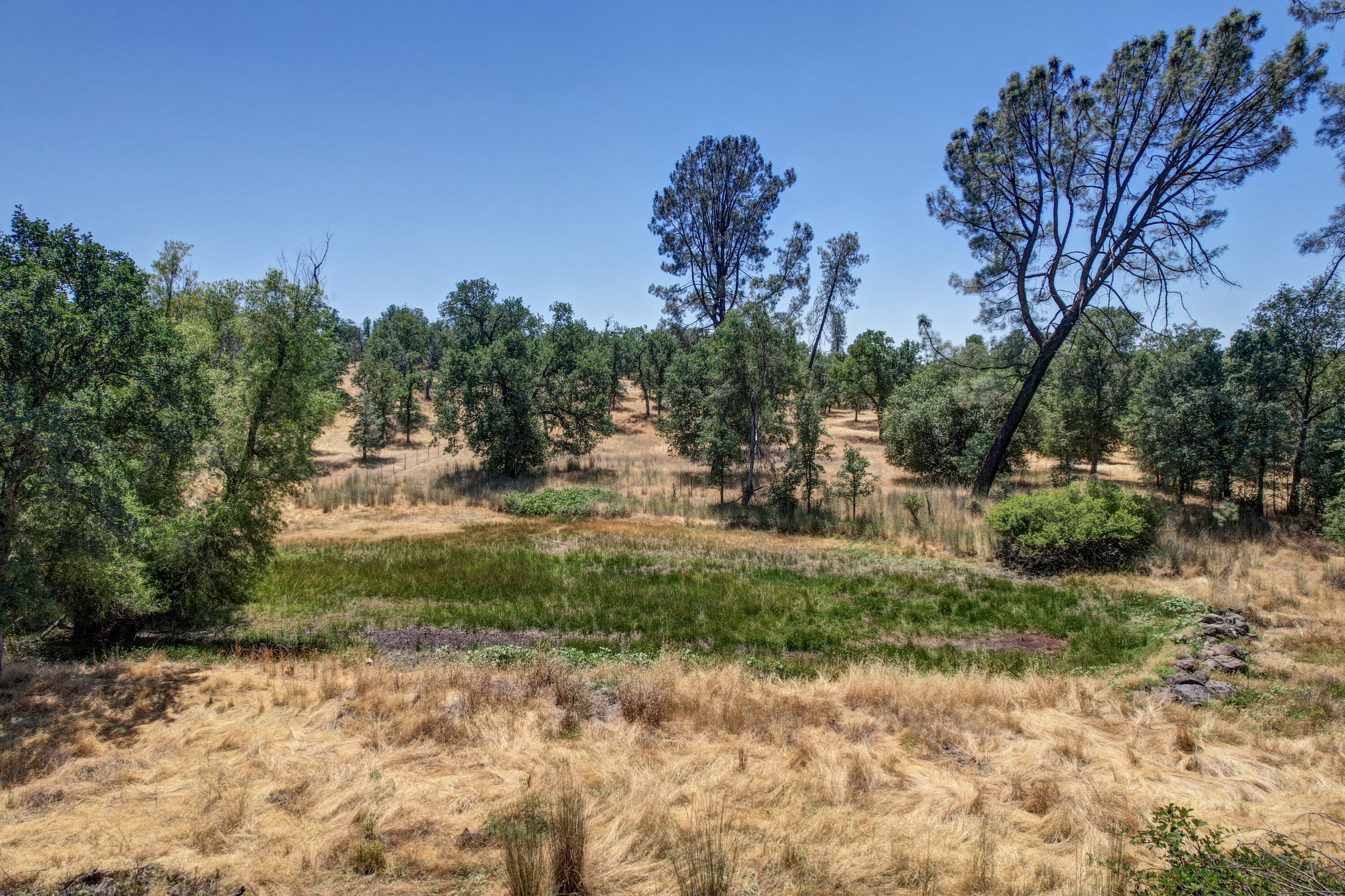 21217 Falling Oaks Road Redding, CA 96003 - Photo 20 of 24 a view of outdoor space with trees all around