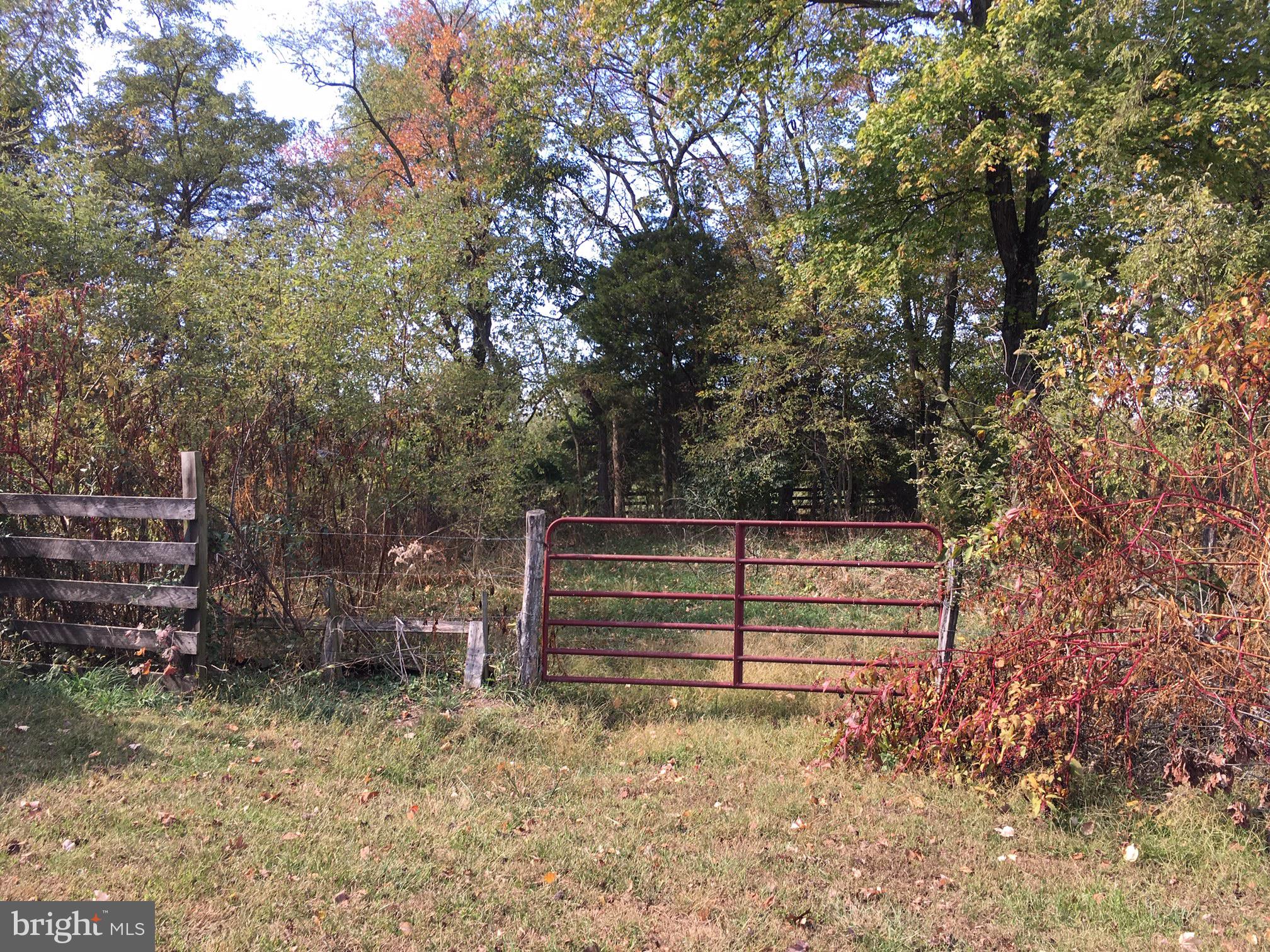 3800 Fringer Road Taneytown, MD 21787 - Photo 15 of 41 Pasture