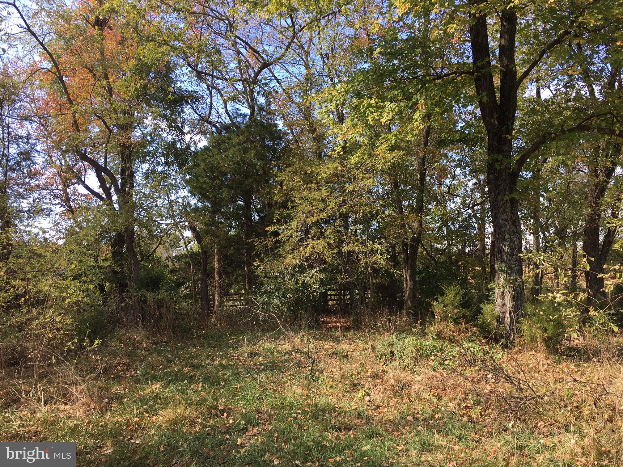 3800 Fringer Road Taneytown, MD 21787 - Photo 16 of 41 Yard