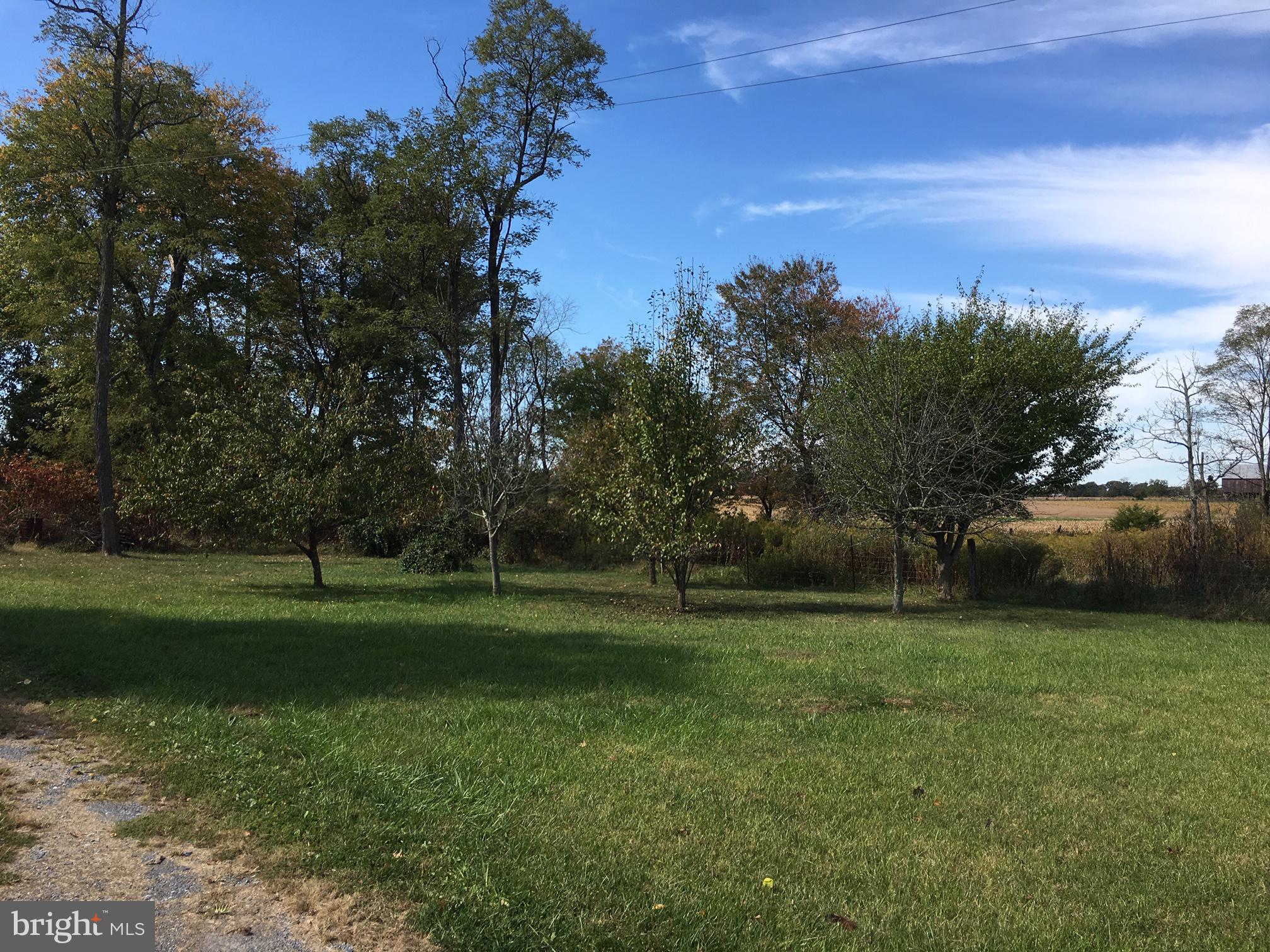 3800 Fringer Road Taneytown, MD 21787 - Photo 19 of 41 Yard