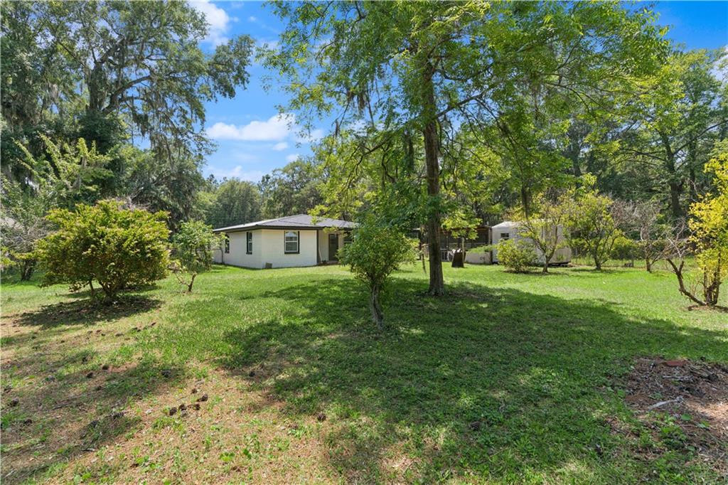 724 Fancy Bluff Road Brunswick, GA 31523 - Photo 4 of 14 Huge backyard
