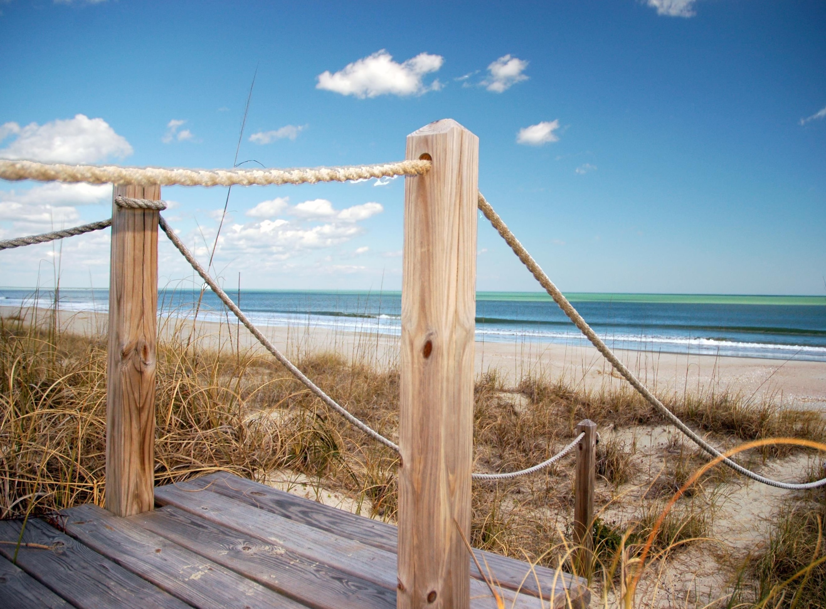 703 Collins Meadow Drive Georgetown, SC 29440 - Photo 43 of 49