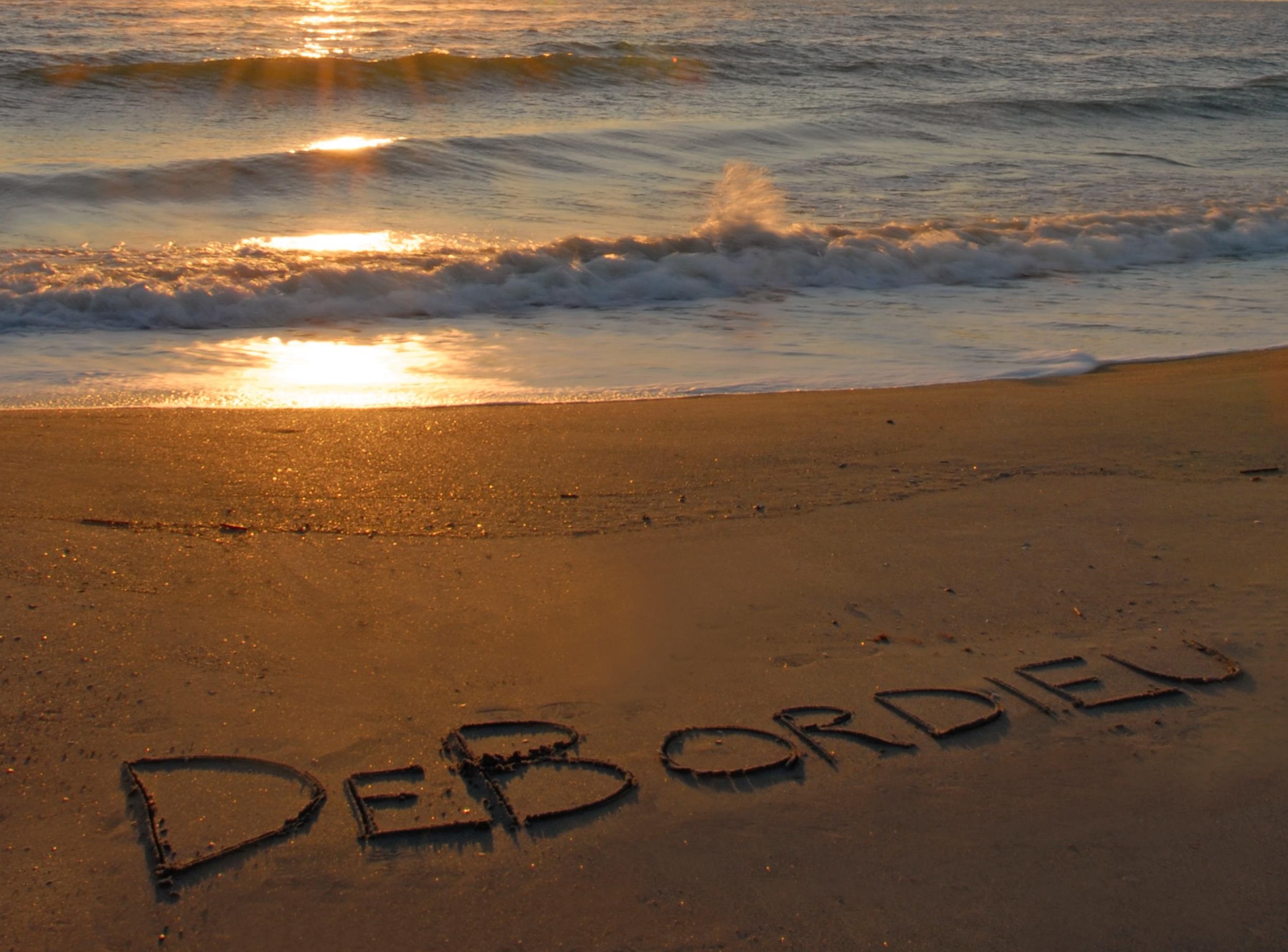 703 Collins Meadow Drive Georgetown, SC 29440 - Photo 45 of 49